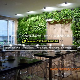 杭州植物墻與綠墻設(shè)計(jì)施工全解析 從專(zhuān)業(yè)設(shè)計(jì)到價(jià)格咨詢(xún)